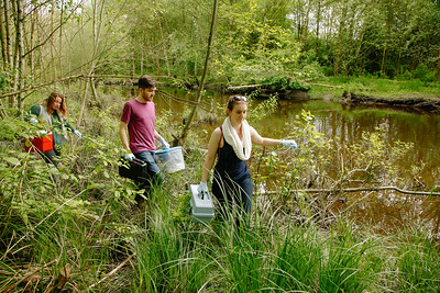 Ŷĳs collecting water samples in the wetland